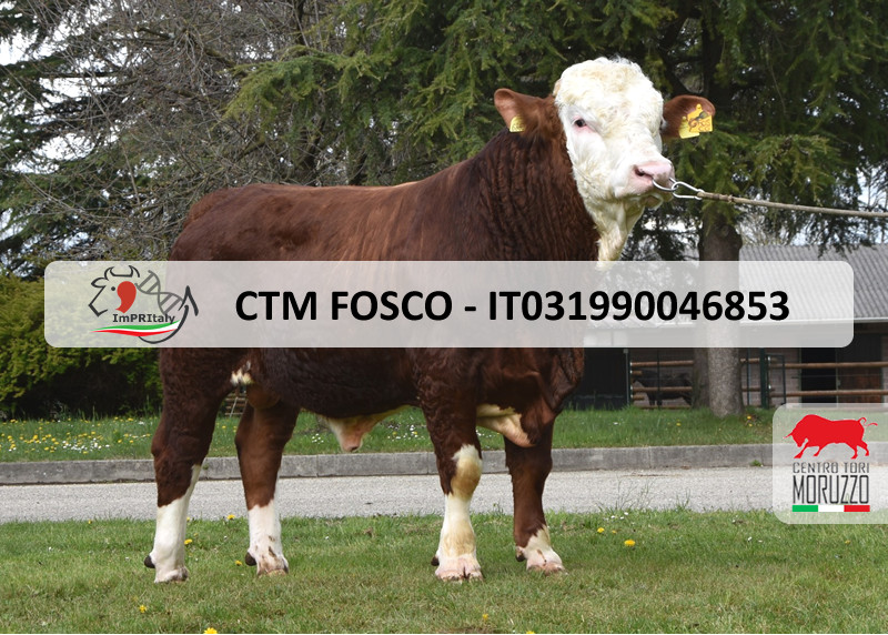 CTM FOSCO