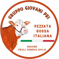 gruppo giovanipri logo home200