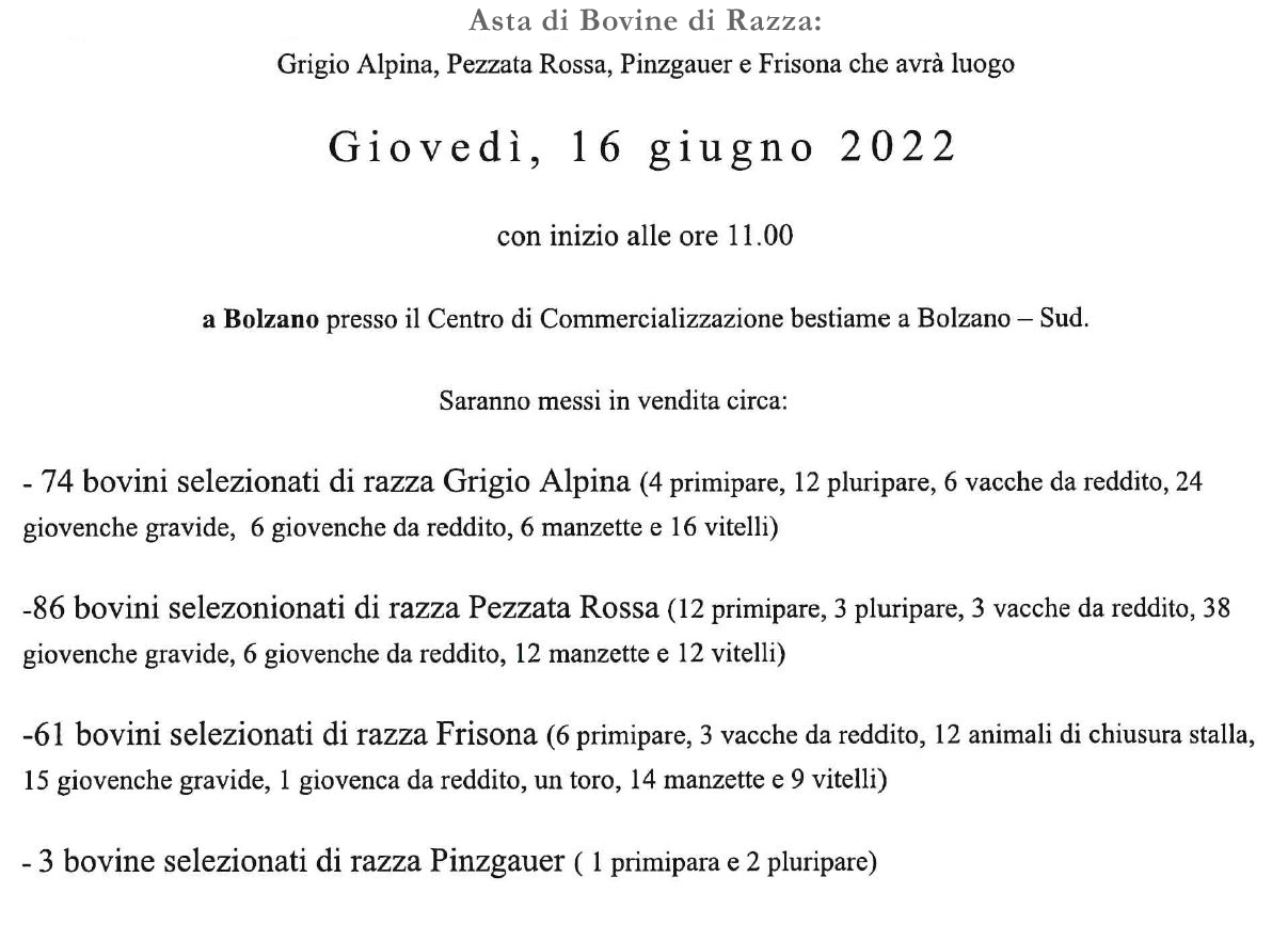 asta 16 giugno