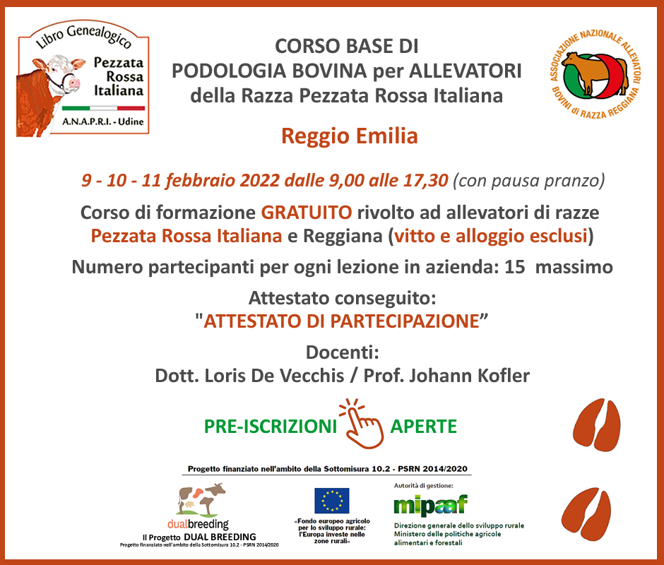 depliant mascalcia 940x800
