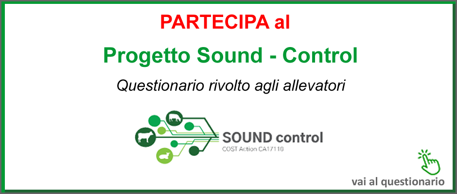 questionario sound