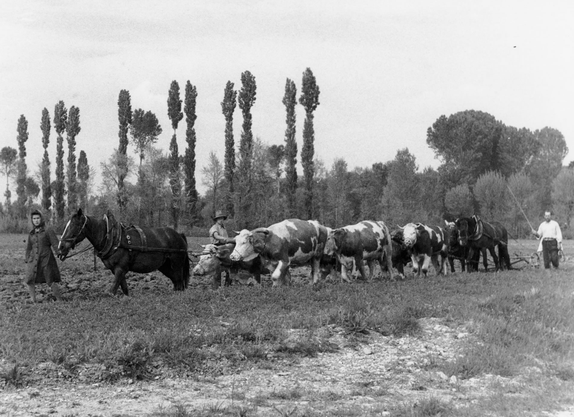 ANAPRI Lavoro PRI 900
