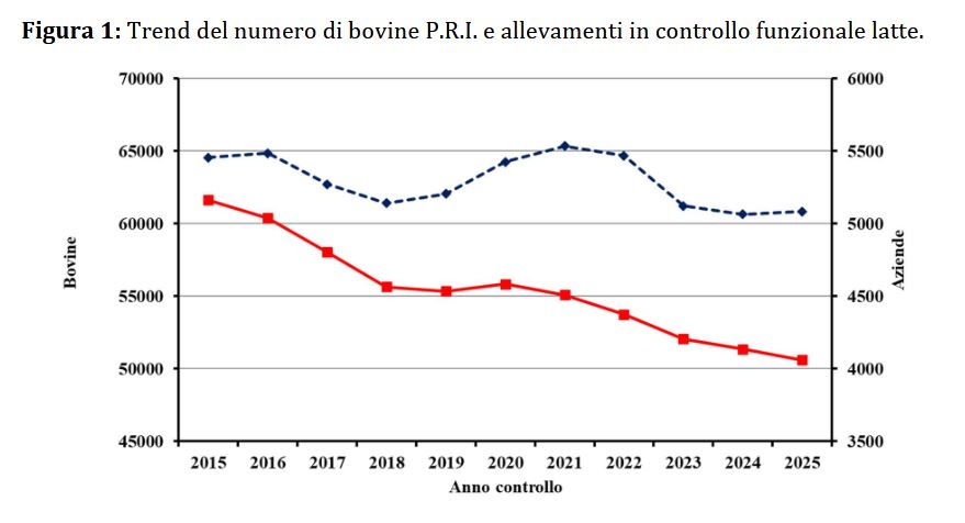 consistenza razza fig1 2023