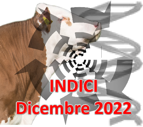 banner pubblicazione indici