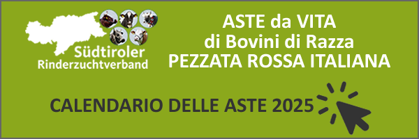 CALENDARIO DELLE ASTE DA VITA PEZZATA ROSSA ITALIANA